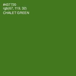 #437720 - Chalet Green Color Image